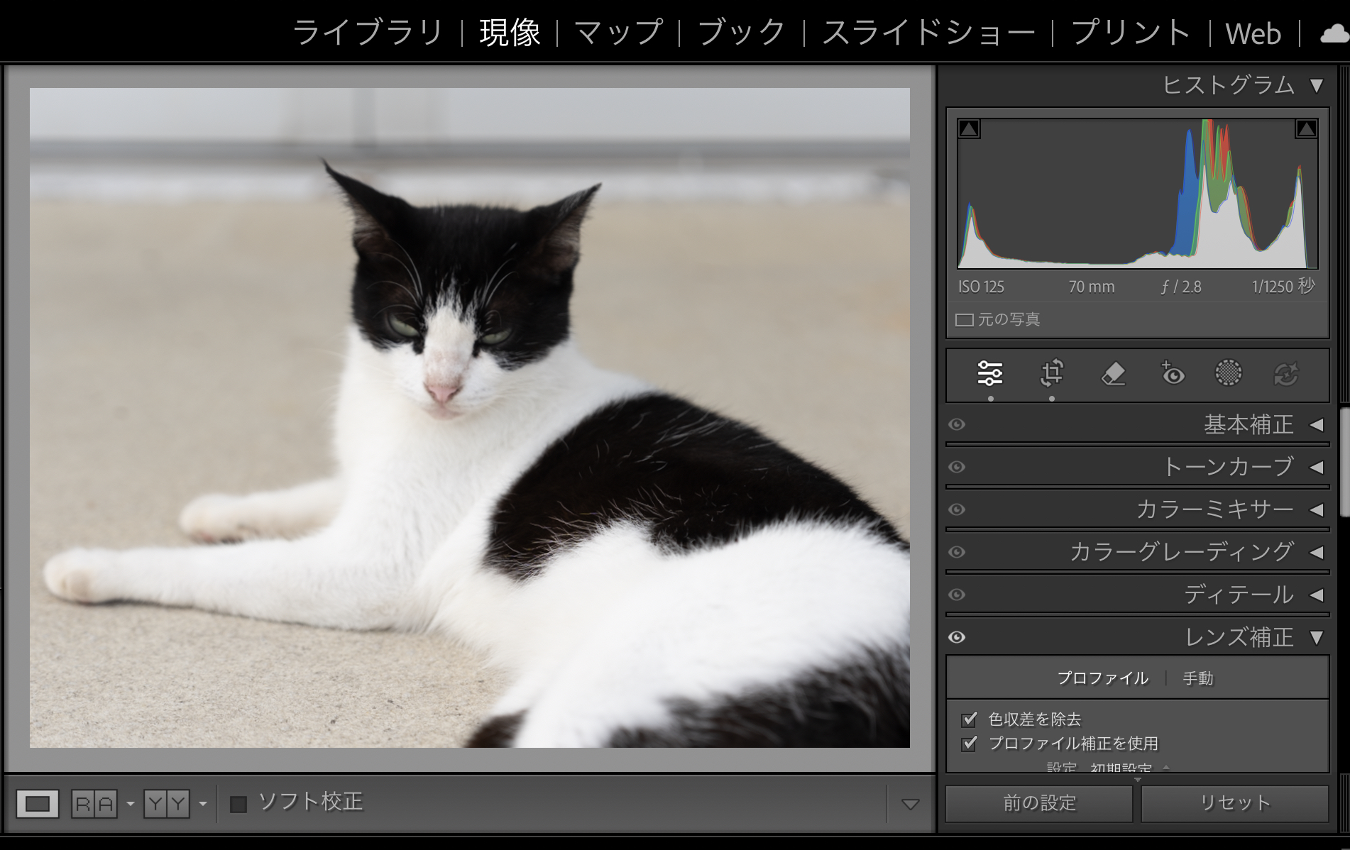 RAW写真現像のマイワークフロー